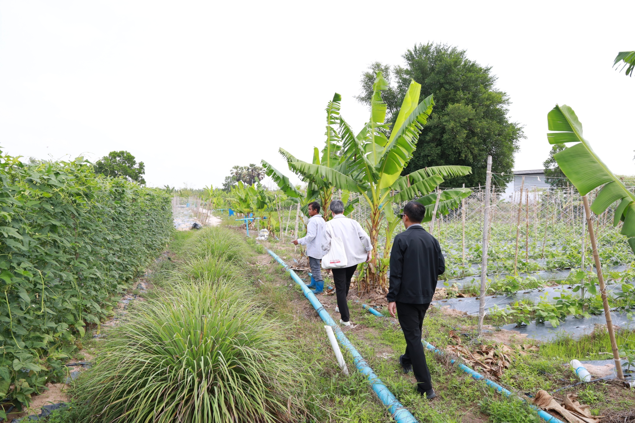 title - ส.ป.ก. ร่วมกับ TICA และ GIZ ลงพื้นที่โครงการนำร่องระบบสูบน้ำพลังงานแสงอาทิตย์เพื่อการเกษตรที่ยั่งยืนในเขตปฏิรูปที่ดิน ณ แปลงพื้นที่ คทช. จังหวัดชลบุรี